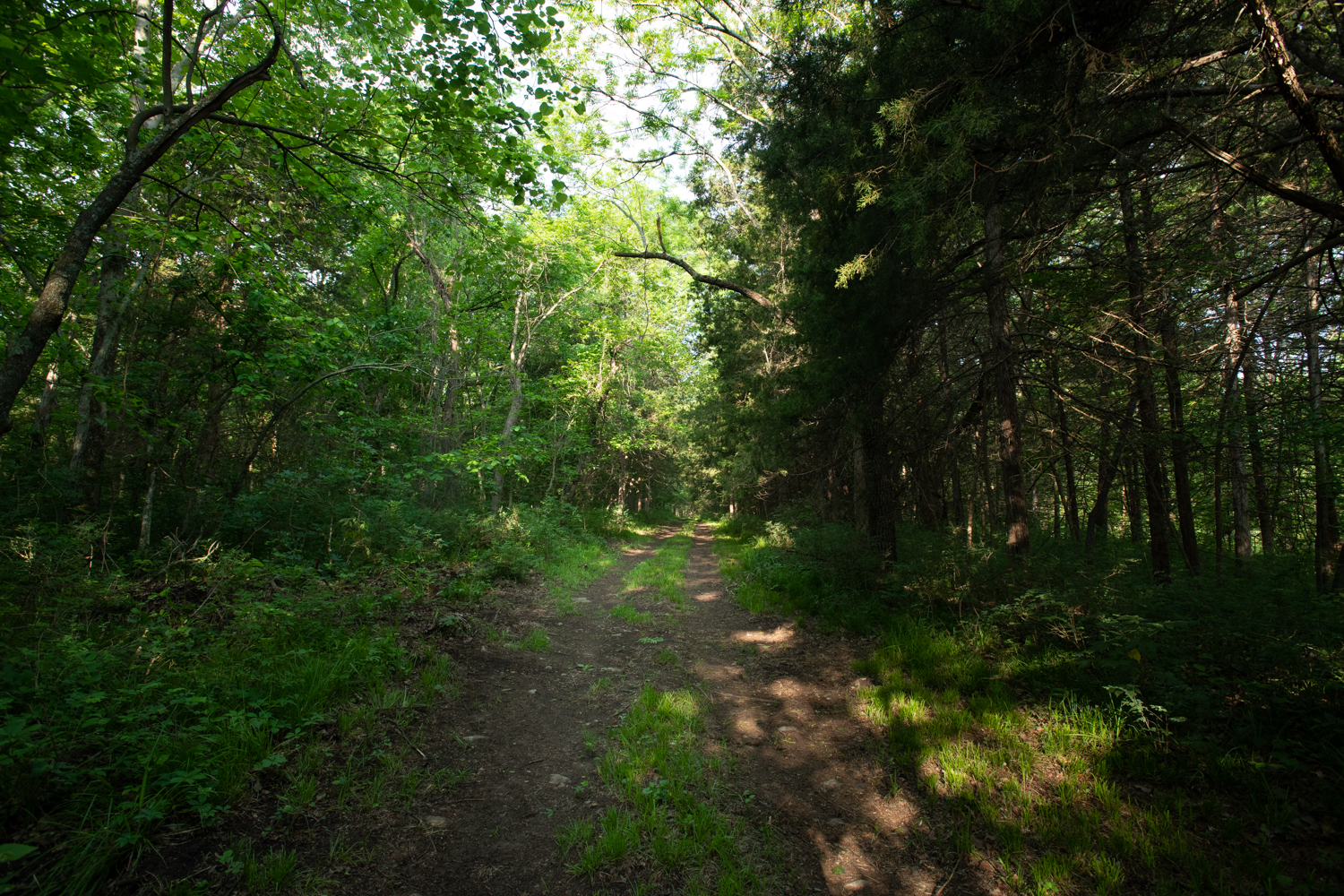 Trails at Hidden Timber Farm horse pasture boarding